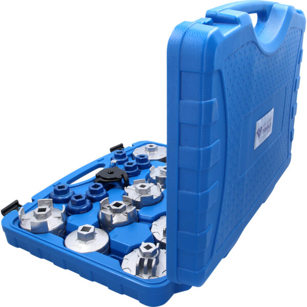 FOT_PRO_VAR_BT711010.1_SALL_AING_V1