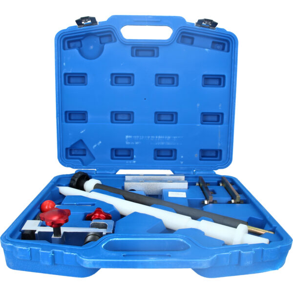 FOT_PRO_VAR_BT598130.1_SALL_AING_V1