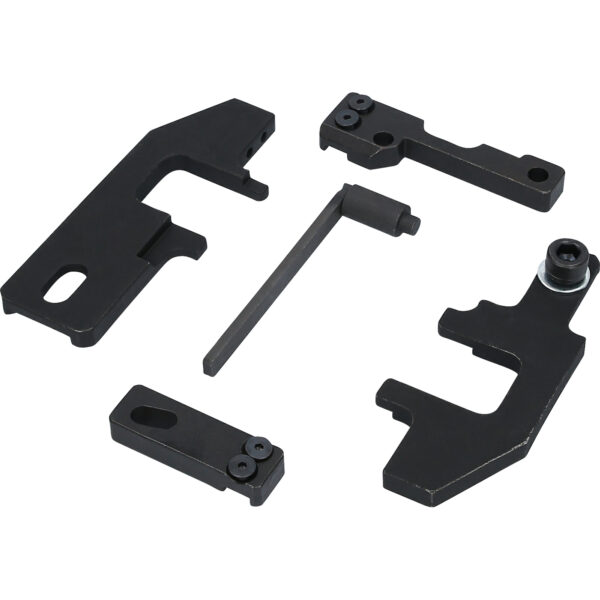 FOT_PRO_VAR_BT597990.1_SALL_AING_V1