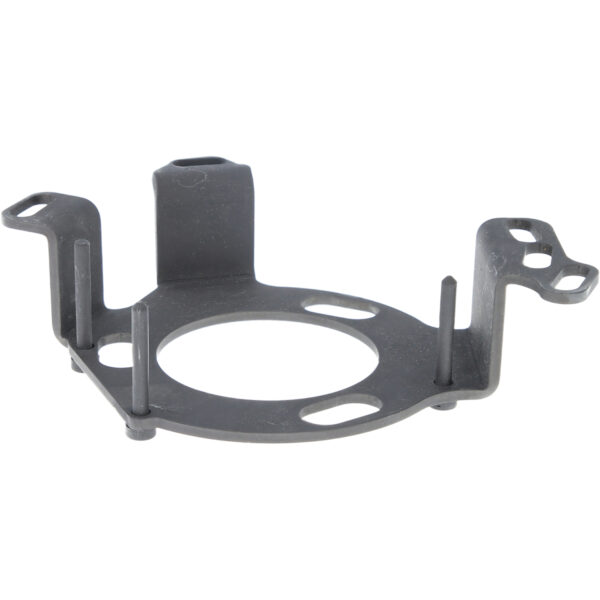 FOT_PRO_VAR_BT593830.1_SALL_AING_V1