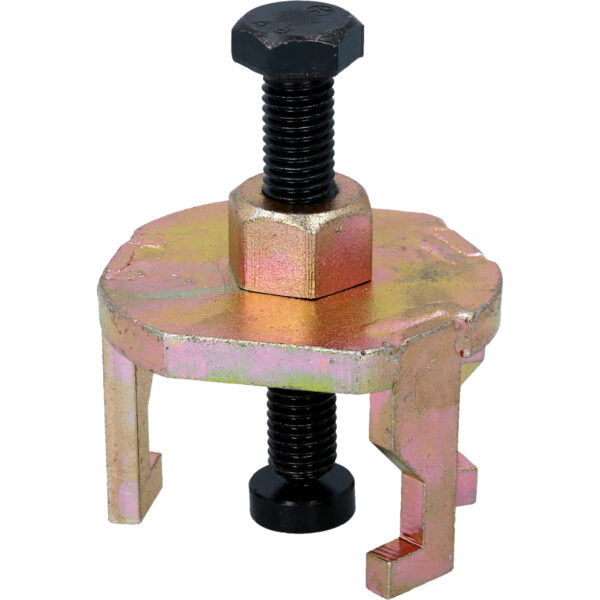 FOT_PRO_VAR_BT592951.1_SALL_AING_V1