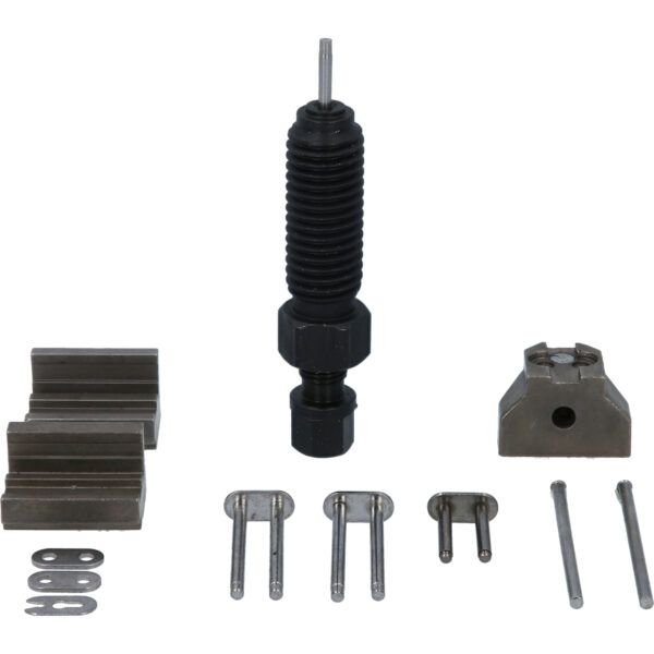 FOT_PRO_VAR_BT593570.1_SALL_AING_V1