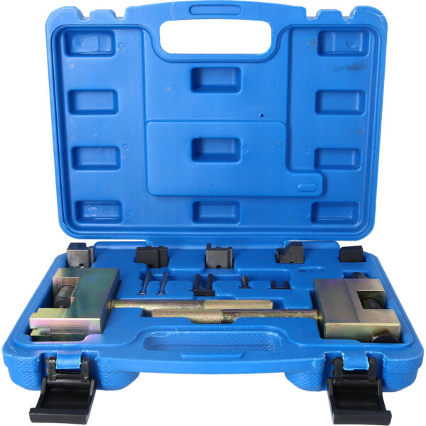 FOT_PRO_VAR_BT593530.1_SALL_AING_V1