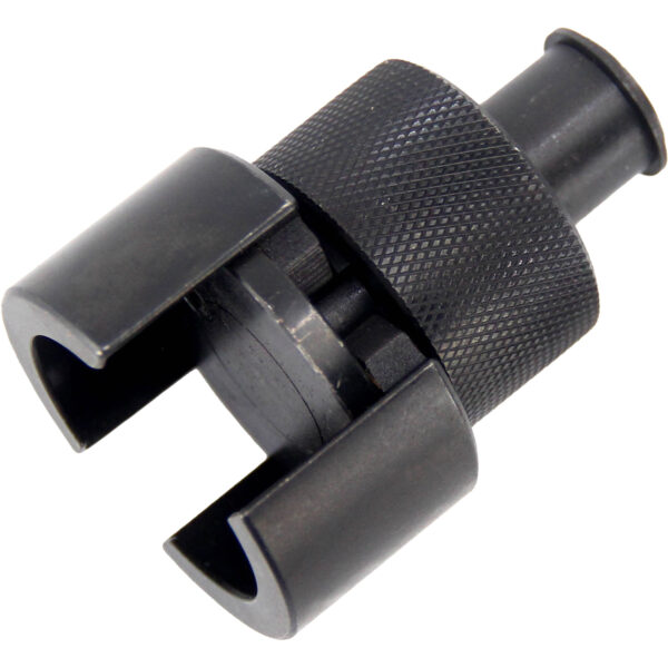 FOT_PRO_VAR_BT591086.1_SALL_AING_V1