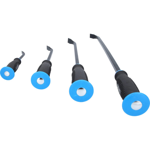 FOT_PRO_VAR_BT091004.1_SALL_AING_V1