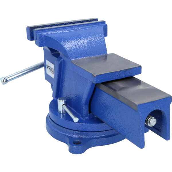 FOT_PRO_VAR_BT156942.1_SALL_AING_V1