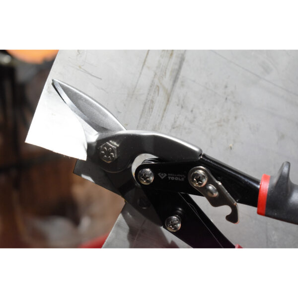 FOT_ANW_ALG_BT_BT067200.AW1_SALL_AING_V1