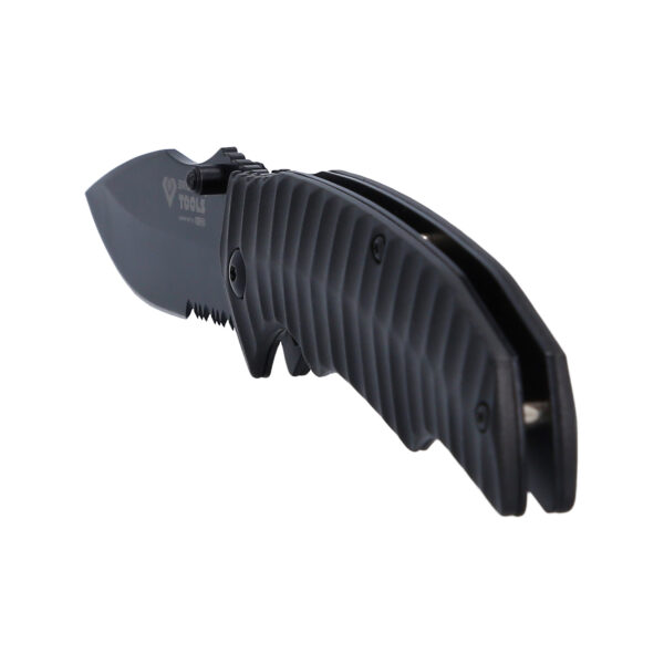 FOT_PRO_VAR_BT102905.1_SALL_AING_V1