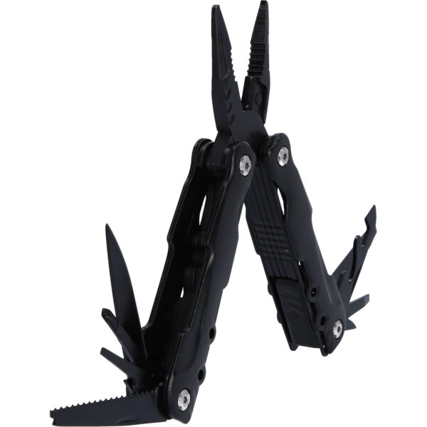 FOT_PRO_VAR_BT100903.1_SALL_AING_V1