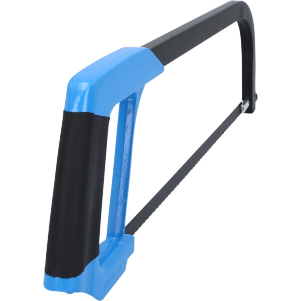 FOT_PRO_VAR_BT101942.1_SALL_AING_V1