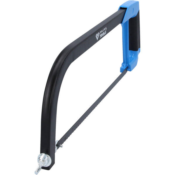 FOT_PRO_VAR_BT101942.3_SALL_AING_V1