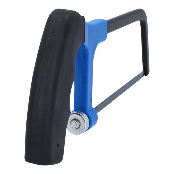 FOT_PRO_VAR_BT101941.1_SALL_AING_V1