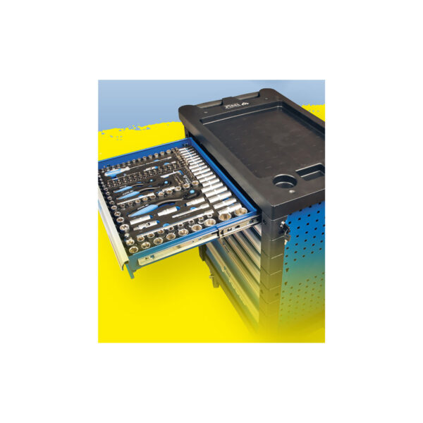 FOT_PRO_VAR_BT153473.1_SALL_AQU_V1