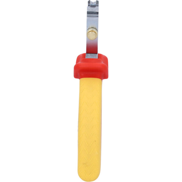 FOT_PRO_VAR_BT068014.3_SALL_AING_V1