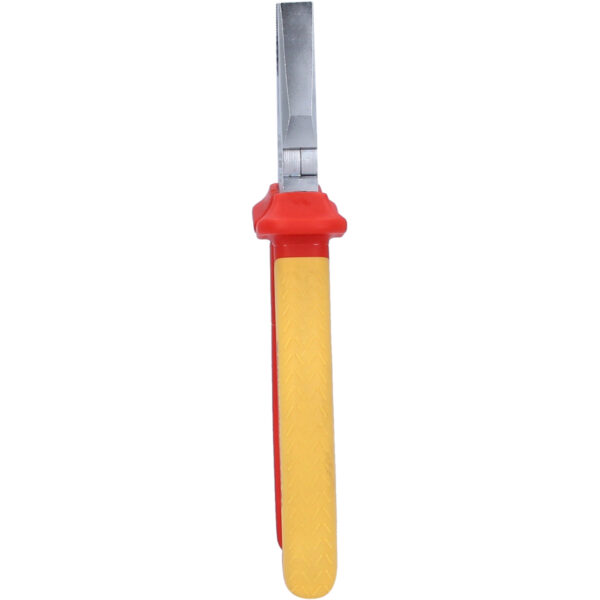 FOT_PRO_VAR_BT068011.1_SALL_AING_V1