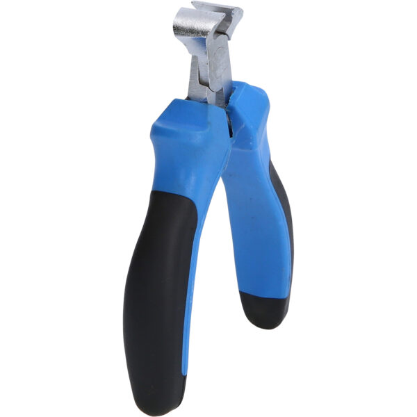 FOT_PRO_VAR_BT067609.1_SALL_AING_V1