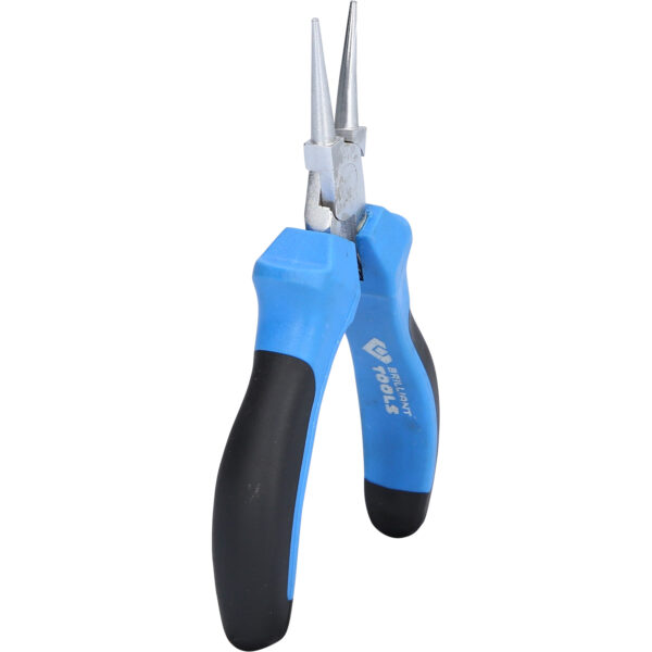 FOT_PRO_VAR_BT067608.1_SALL_AING_V1