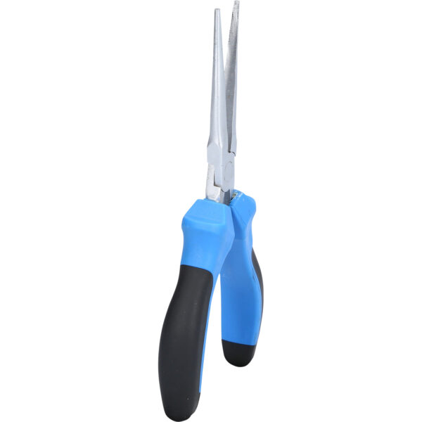 FOT_PRO_VAR_BT067606.1_SALL_AING_V1