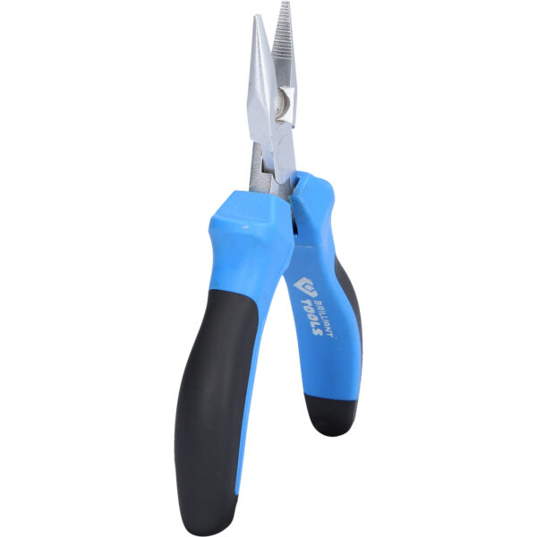 FOT_PRO_VAR_BT067603.1_SALL_AING_V1