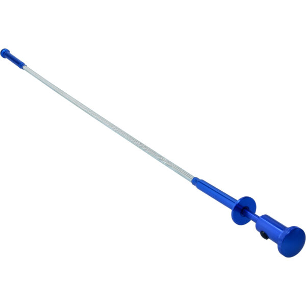 FOT_PRO_VAR_BT115908.5_SALL_AING_V1