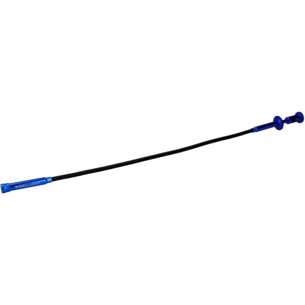 FOT_PRO_VAR_BT115907.8_SALL_AING_V1