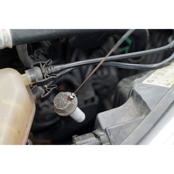 FOT_ANW_ALG_BT_BT115903.AW5_SALL_AING_V1