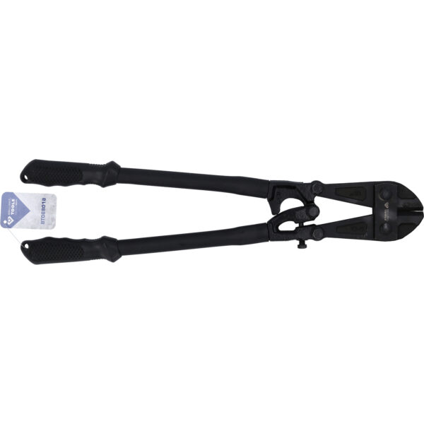 FOT_PRO_VAR_BT068018.4_SALL_AING_V1