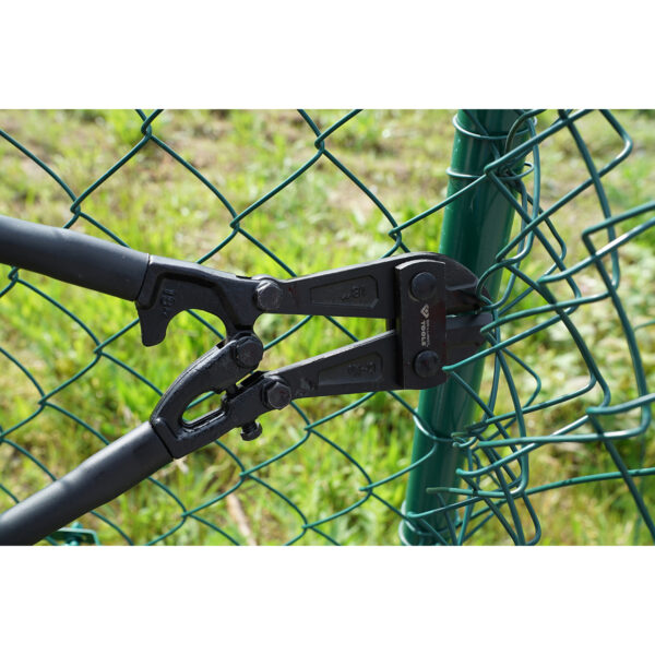 FOT_ANW_ALG_BT_BT068018.AW1_SALL_AING_V1