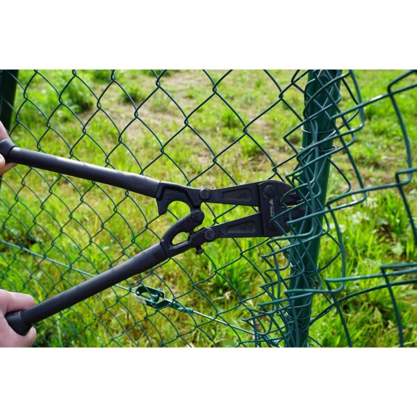 FOT_ANW_ALG_BT_BT068018.AW2_SALL_AING_V1