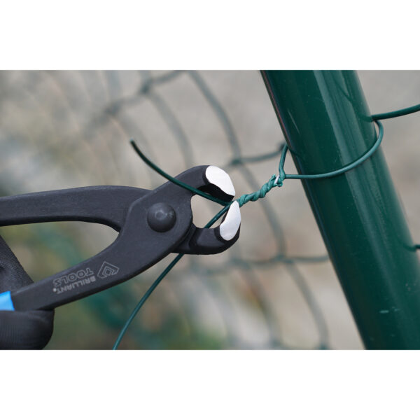 FOT_ANW_ALG_BT_BT064914.AW2_SALL_AING_V1