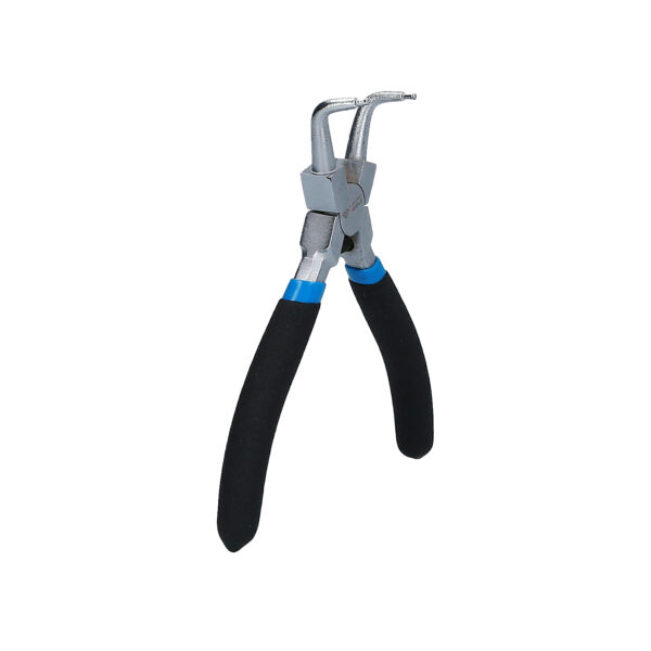 FOT_PRO_VAR_BT067008.1_SALL_AING_V1