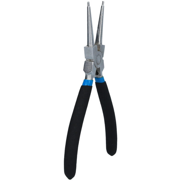 FOT_PRO_VAR_BT067003.1_SALL_AING_V1