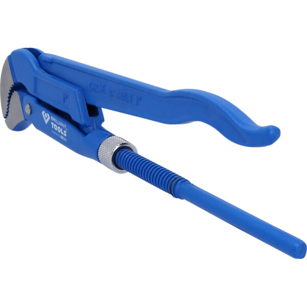 FOT_PRO_VAR_BT067110.1_SALL_AING_V1