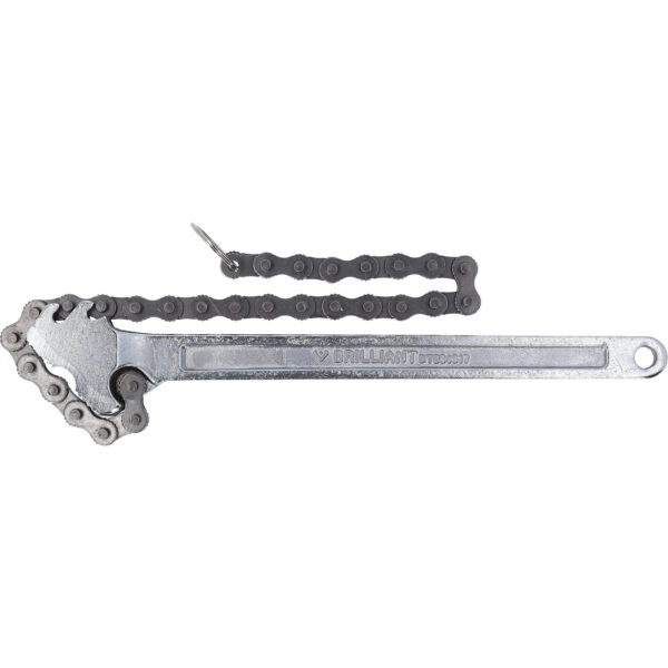 FOT_PRO_VAR_BT064917.1_SALL_AING_V1