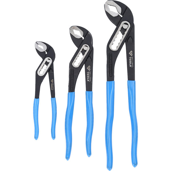 FOT_PRO_VAR_BT064910.2_SALL_AING_V1