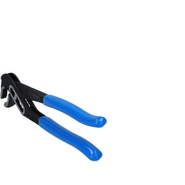 FOT_PRO_VAR_BT064911.1_SALL_AING_V1