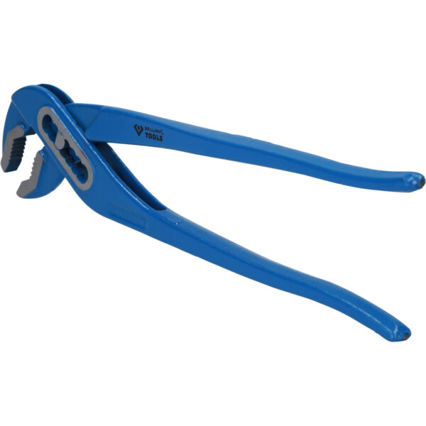 FOT_PRO_VAR_BT064907.1_SALL_AING_V1