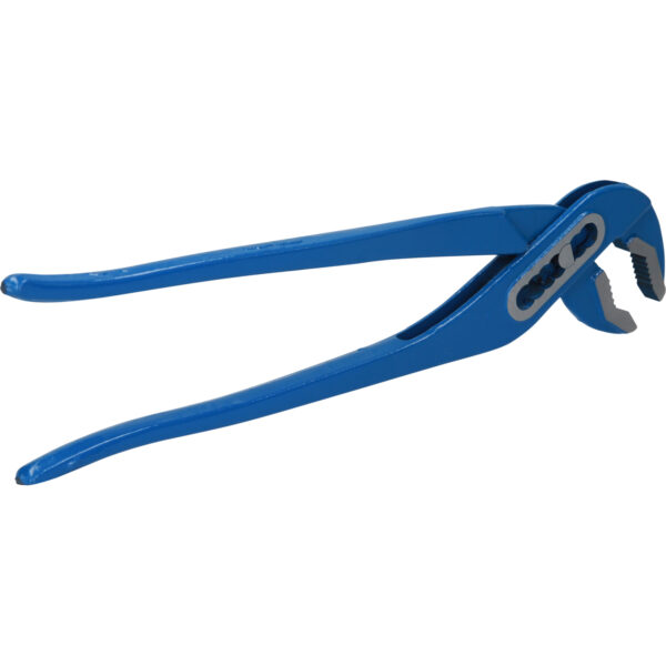 FOT_PRO_VAR_BT064907.2_SALL_AING_V1