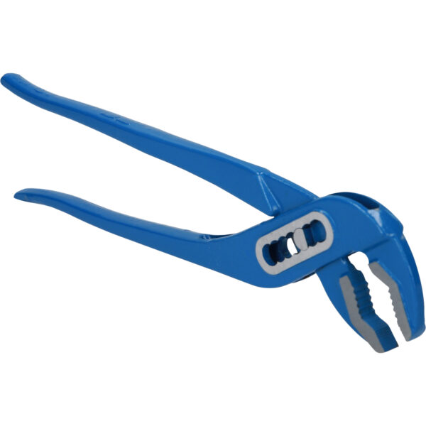 FOT_PRO_VAR_BT064907.3_SALL_AING_V1