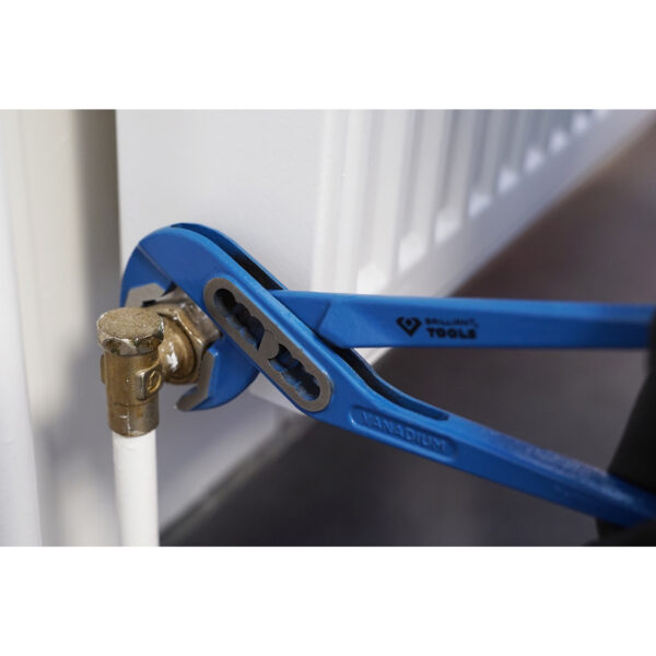 FOT_ANW_ALG_BT_BT06490X(6-8).AW2_SALL_AING_V1