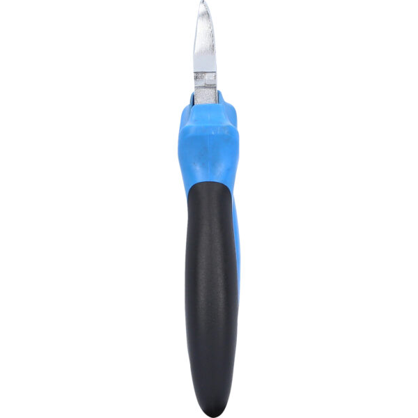 FOT_PRO_VAR_BT061901.3_SALL_AING_V1