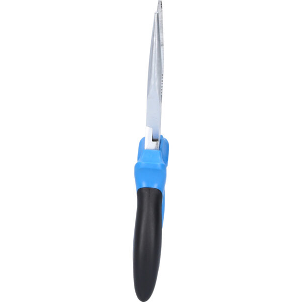 FOT_PRO_VAR_BT062901.1_SALL_AING_V1