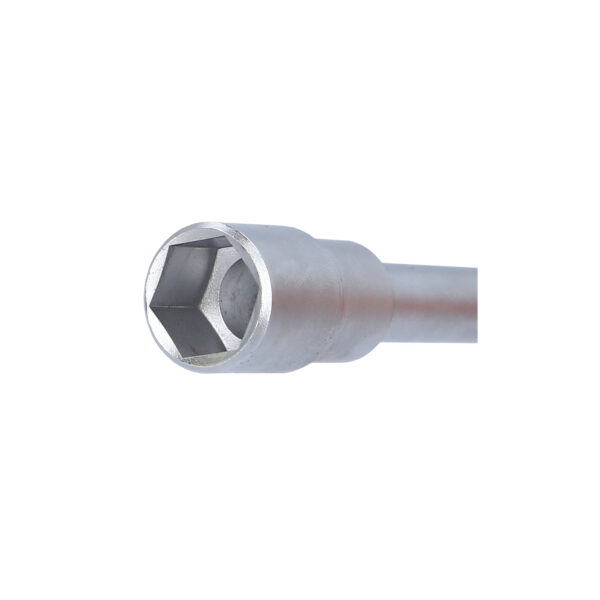 FOT_ANW_ALG_BT_BT031070-Zoom_SALL_AING_V1