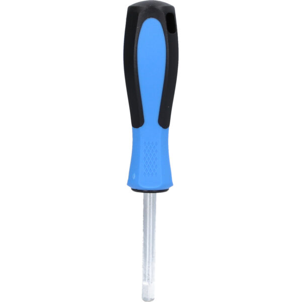 FOT_PRO_VAR_BT031056.1_SALL_AING_V1