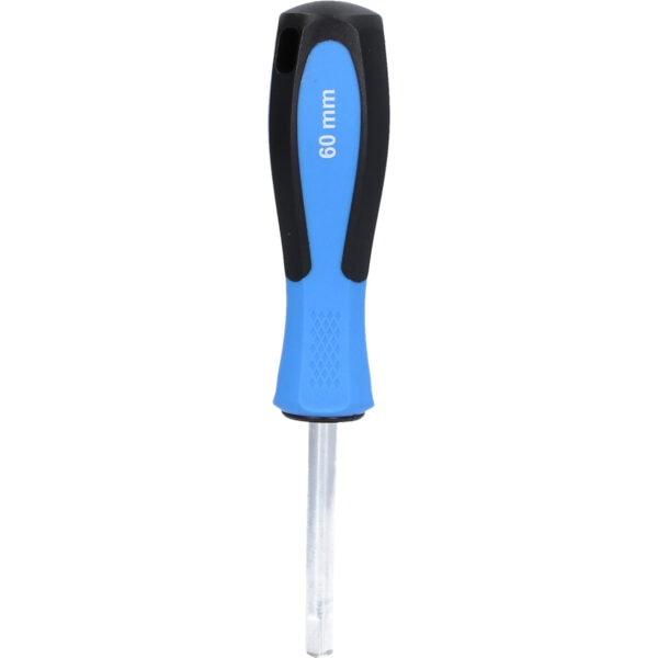 FOT_PRO_VAR_BT031056.2_SALL_AING_V1