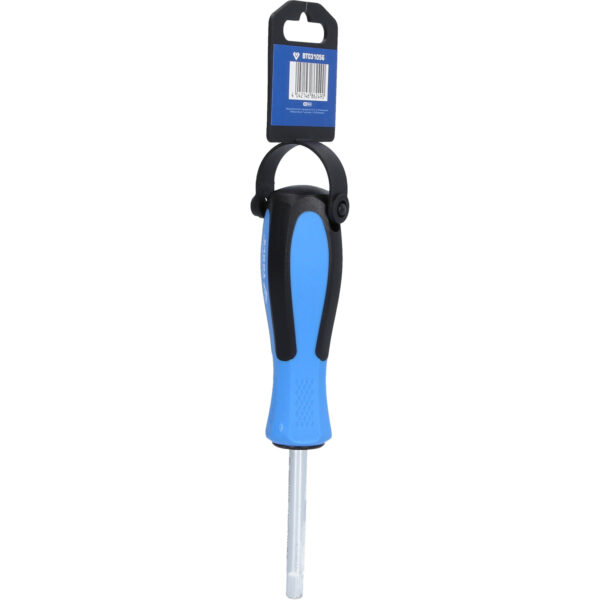 FOT_PRO_VAR_BT031056.5_SALL_AING_V1