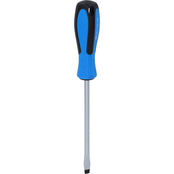 FOT_PRO_VAR_BT031053.1_SALL_AING_V1