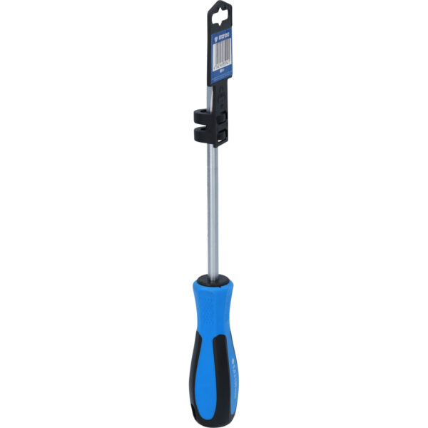 FOT_PRO_VAR_BT031053.5_SALL_AING_V1