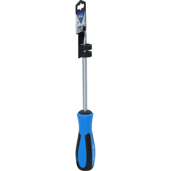 FOT_PRO_VAR_BT031053.7_SALL_AING_V1