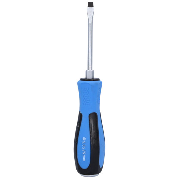 FOT_PRO_VAR_BT031049.2_SALL_AING_V1